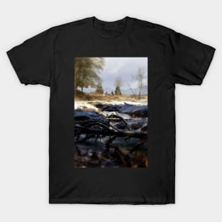 snowy Oregon forest , Fox Creek 6 T-Shirt